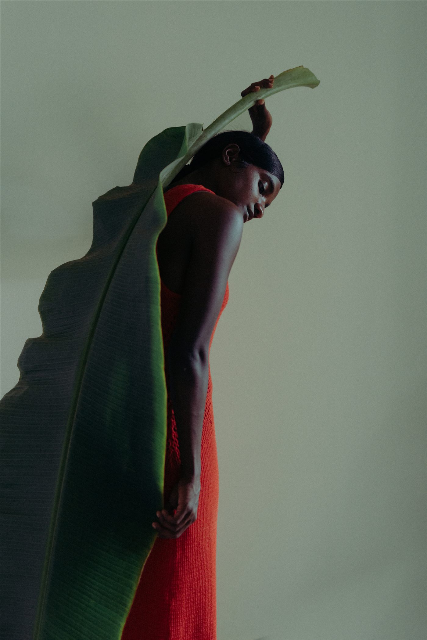 Editorial