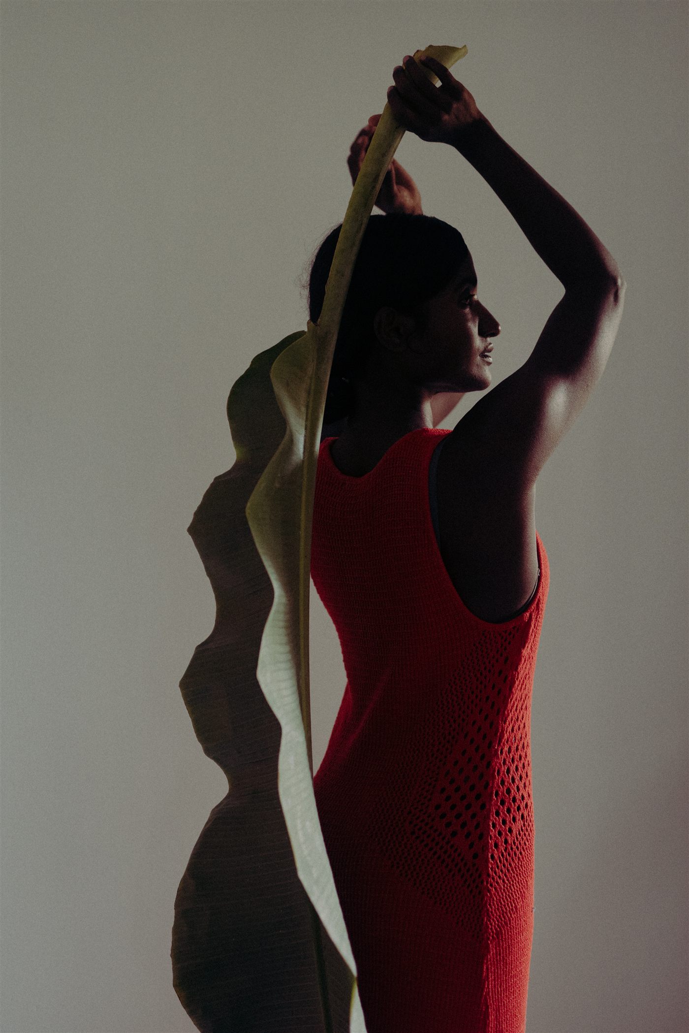 Editorial